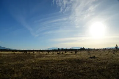 DSC_3018 (Large).JPG